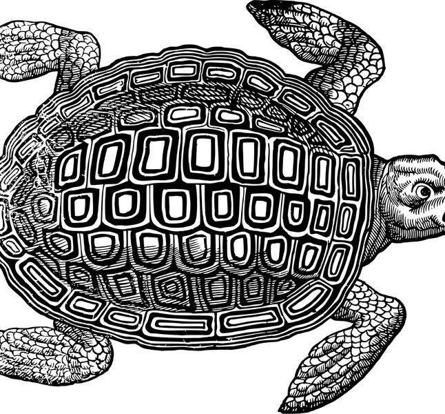 telescopio antiguo s.XVIII